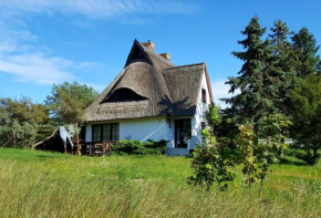 Ferienwohnung im Hochland, Insel Hiddensee